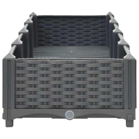 Donica do podniesionej rabaty, 160x40x23 cm, polipropylen