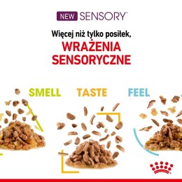 Karma Royal Canin Sensory Feel gravy 12x85g