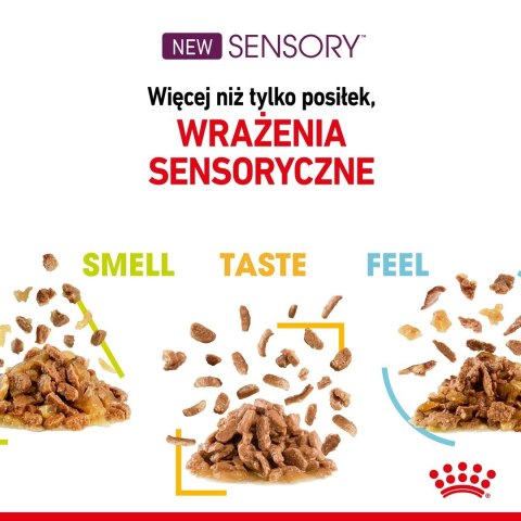 Karma Royal Canin Sensory Feel gravy 12x85g