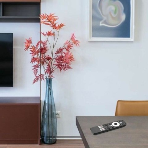 Urządzenie do streamingu CGV EXPAND MINI 4K GD1