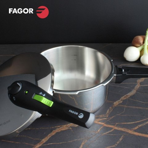 Set Garnków Express Fagor Stal nierdzewna 10 L 2 Części