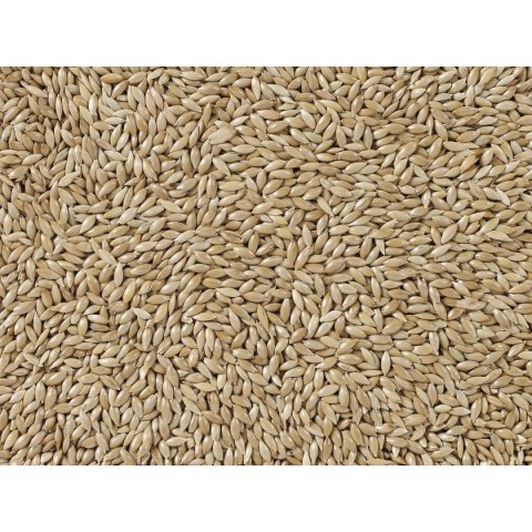 Karma dla ptaków Deli Nature Premium 5 kg