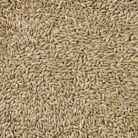 Karma dla ptaków Deli Nature Premium 5 kg