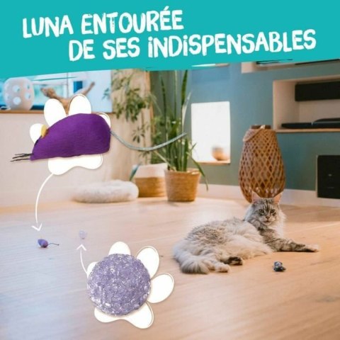 Zabawka dla kotów Aimé Wielokolorowy 7 Części