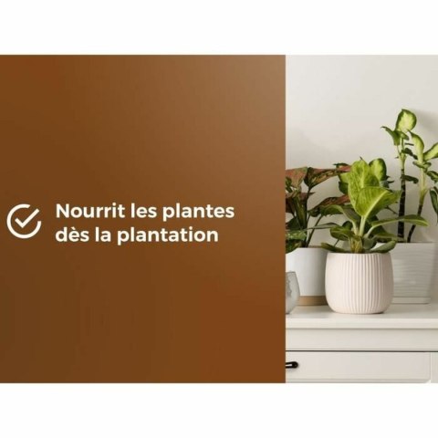 Ziemia do roślin OR BRUN 6 L