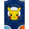 Koc Pokémon 25 x 7 x 13 cm Wielokolorowy zwierzęta