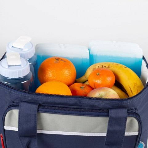 Wkład do Lodówki Aktive Niebieski 13,5 x 12,5 x 1,5 cm (12 Sztuk)