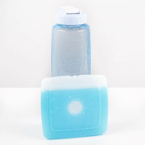 Wkład do Lodówki Aktive Niebieski 13,5 x 12,5 x 1,5 cm (12 Sztuk)