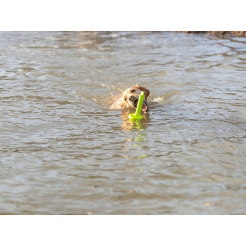 Gryzak dla psa Trixie 29 cm