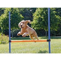 Zabawka do tresury Trixie