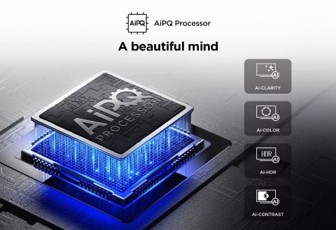 Telewizor TCL 55V6C DLED 55'' 4K Ultra HD Google TV Dolby Atmos DVB-T2 Metaliczny