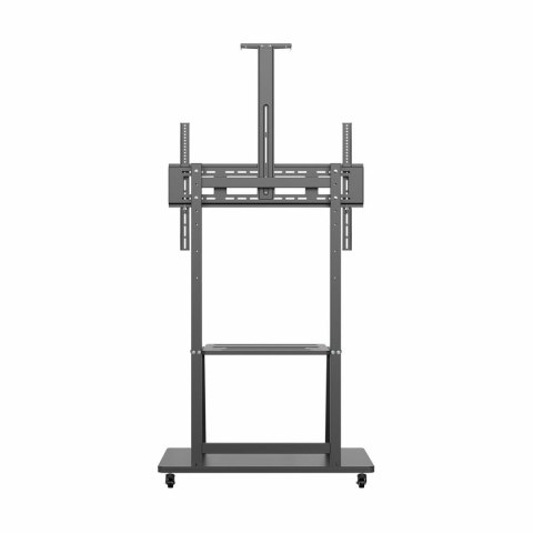 Uchwyt na TV Aisens FT100E-135 37" 100"