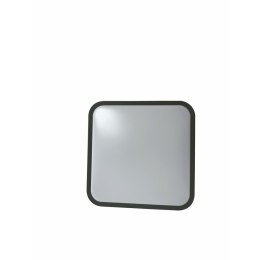 Żarówka LED Silver Electronics 490516