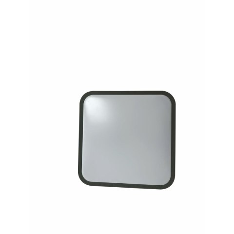 Żarówka LED Silver Electronics 490516