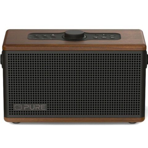 Głośnik Bluetooth Przenośny Pure 254374