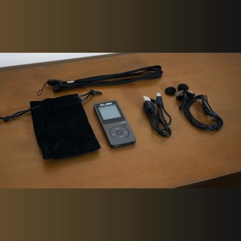 Radio Tranzystorowe ELBE RF-95 Ciemny szary Sportowa AM/FM