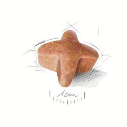 ROYAL CANIN BHN German Sh Ad - sucha karma dla psa dorosłego - 11 kg (WYPRZEDAŻ)