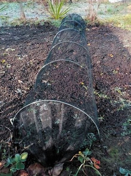 Ochronny tunel dla roślin, czarny, 3m