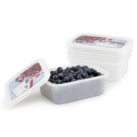 Rotho Zestaw pojemników do zamrażarki, 4 x 500 ml