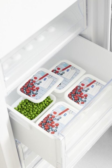 Rotho Zestaw pojemników do zamrażarki, 4 x 500 ml