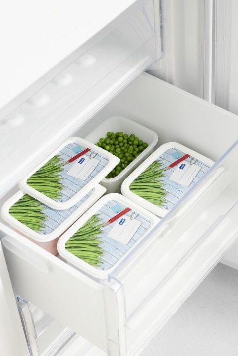 Rotho Zestaw pojemników do zamrażarki, 4 x 750 ml