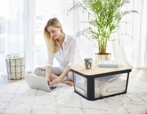 ALBRIS Pojemnik do przechowywania, 45 l, czarny