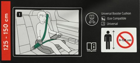 Fotelik samochodowy TATAWAY, 125-150 cm, szary