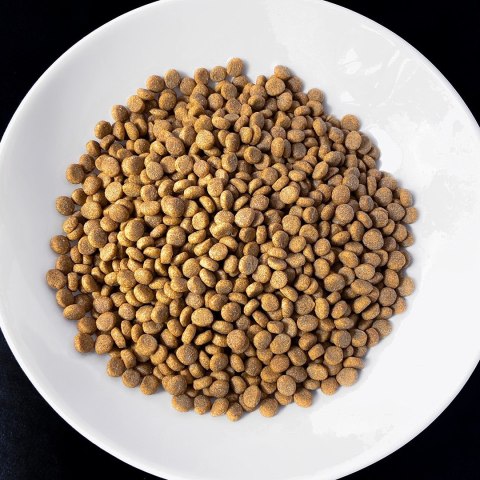 VET RESPONSE WEIGHT-BALANCE dla kota 1,6 kg