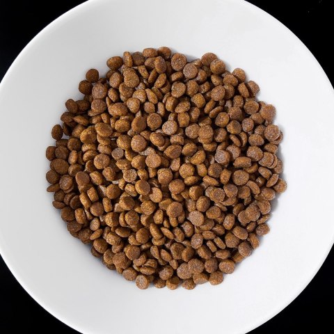 VET RESPONSE GASTROINTESTINAL dla kota 400 g