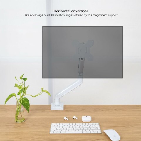 Monitor TooQ DB1334TNR-W 34" 13" 10 kg