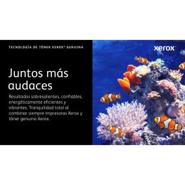 Toner Xerox 006R04626 Czarny Magenta (1 Sztuk)