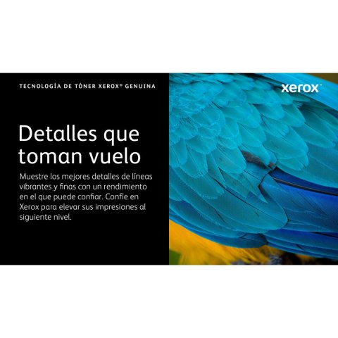 Toner Xerox 006R04626 Czarny Magenta (1 Sztuk)