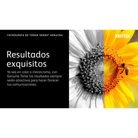 Toner Xerox 006R04627 Żółty Czarny (1 Sztuk)