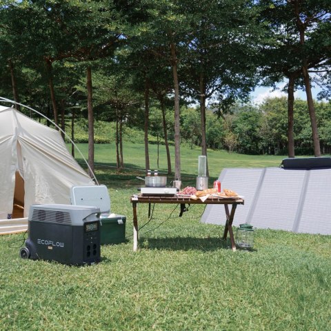 Przenośny Generator Słoneczny Ecoflow DELTA Pro