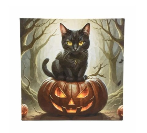 Obraz LED z kotem na dyni 40x40 cm dekoracja Halloween