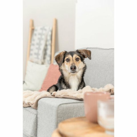 Koc dla Zwierząt Trixie Elli Piasek Poliester 150 x 100 cm