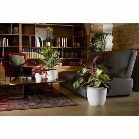 Doniczka EDA Opal Chape Biały Ø 29,5 cm