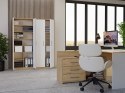 Regał Biurowy OLIV 2D 2 Drzwi Do Biura Do Gabinetu Salonu DĄB ARTISAN BIEL