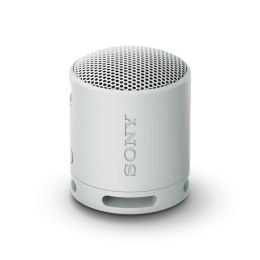 Głośnik Bluetooth Przenośny Sony SRSXB100H.CE7 Szary