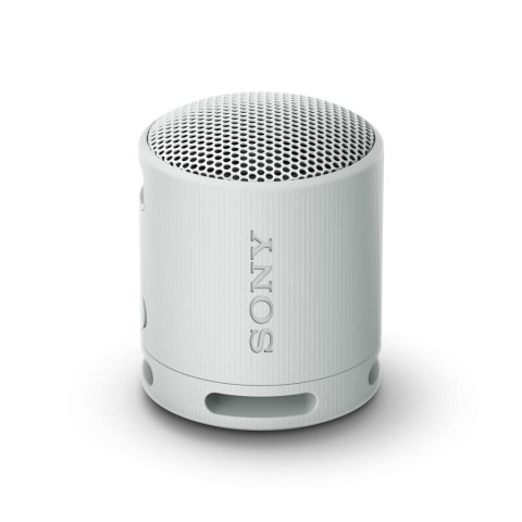 Głośnik Bluetooth Przenośny Sony SRSXB100H.CE7 Szary