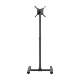 Uchwyt na TV Aisens FT42TE-261 42