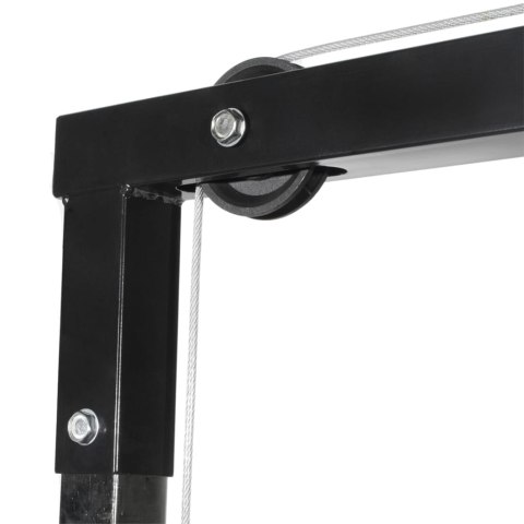 VidaXL Wyciąg do ćwiczeń z obciążnikami, 40 kg