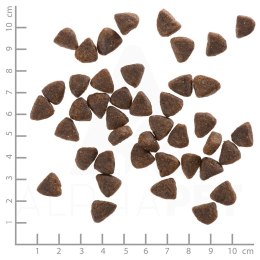 WOLFSBLUT Wide Plain Puppy horse/sweet pota. 12,5kg (WYPRZEDAŻ)