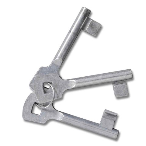 Ogrodowa brama ogrodowa z siatki, krata ścienna, 300x175 cm