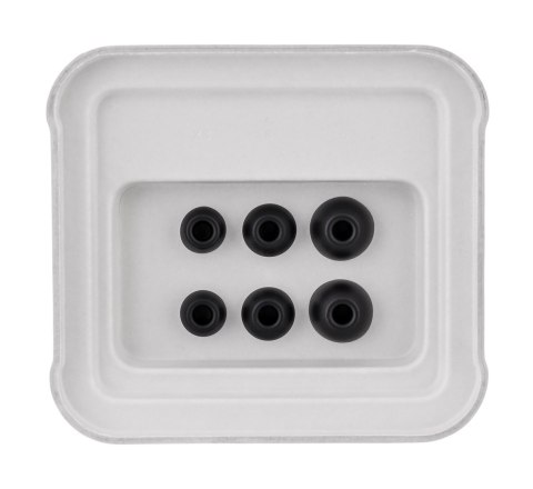 Apple Powerbeats Fit Jet Black