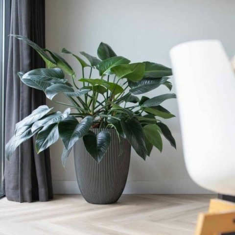 Doniczka Capi Europe Plastikowy Okrągły