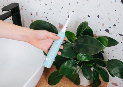 Szczoteczka soniczna niebieska ZK6020 CONCEPT