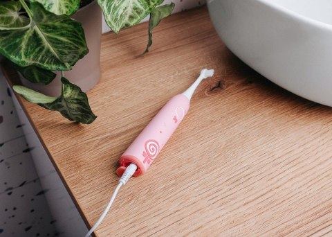 Szczoteczka soniczna różowa ZK6010 CONCEPT