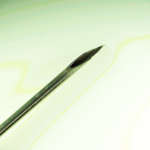 Cyfrowy mikroskop stereoskopowy MAGUS Stereo D8T LCD BASE