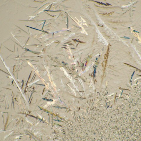 Mikroskop biologiczny MAGUS Bio D230T LCD